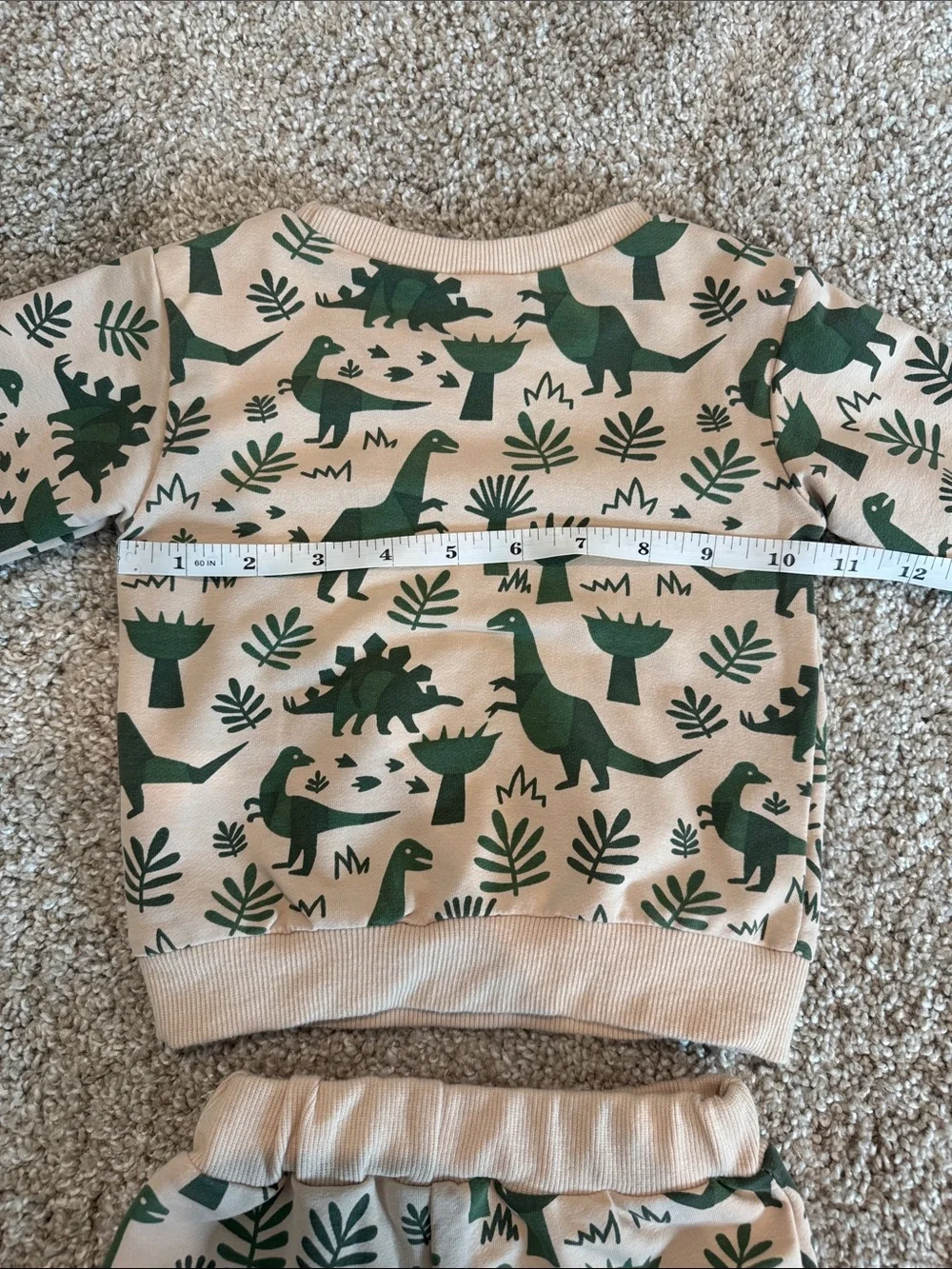 Amazon cozy two